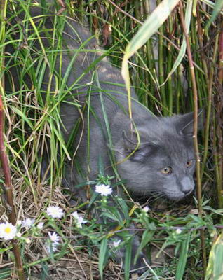 copyright: Michael & Heidi