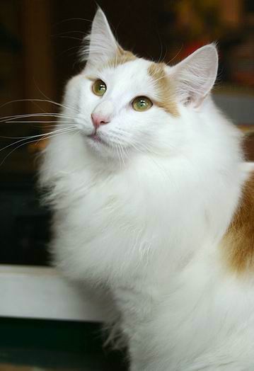 copyright: One Sun Jang