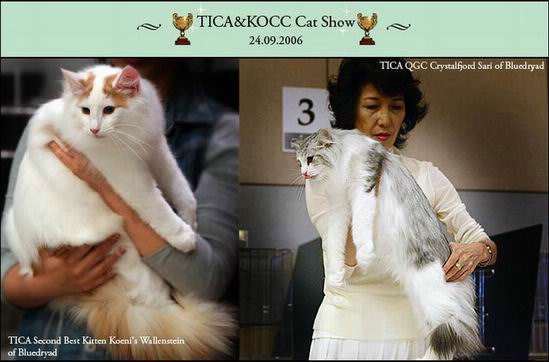 copyright: One Sun Jang