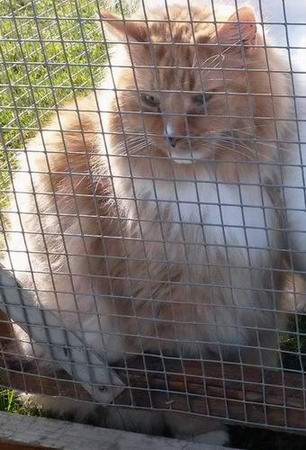 copyright: Eva Felder