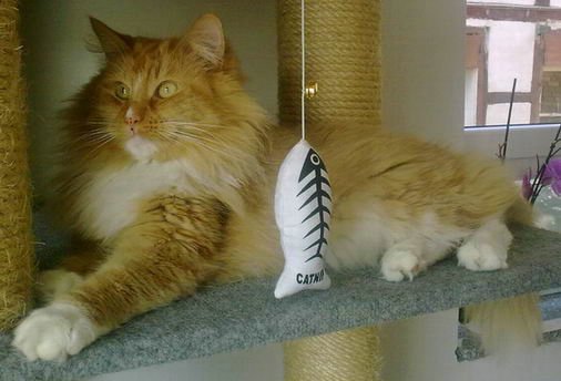 copyright: Eva Felder