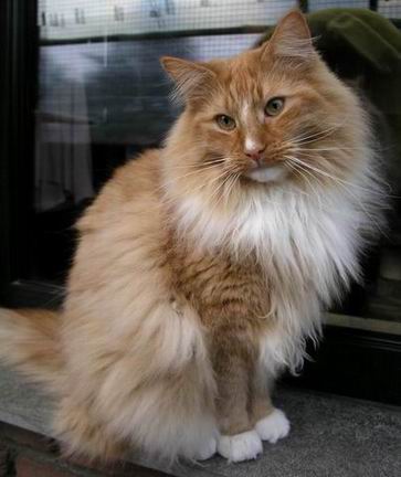 copyright: Eva Felder