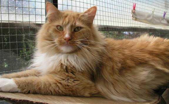 copyright: Eva Felder