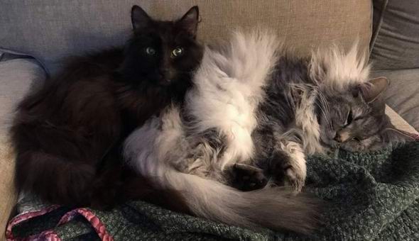 copyright: Tim & Janine