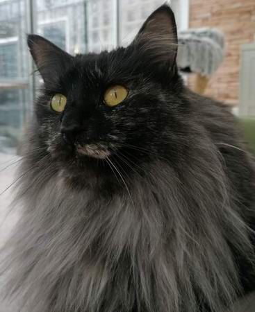 copyright: Jana & Ben