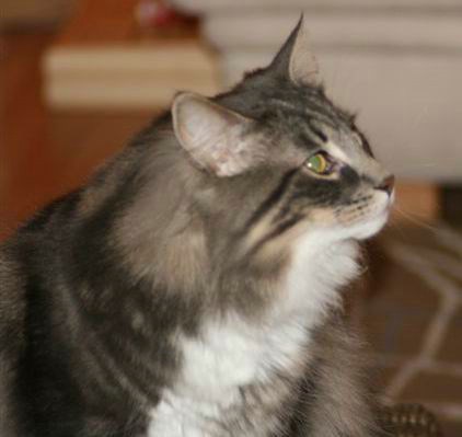 copyright: Fam. Jacob