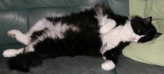 copyright: Familie Marty