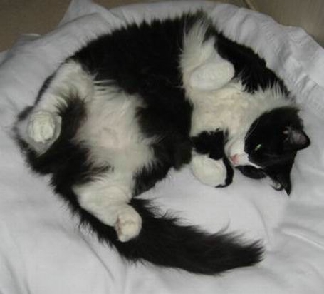 copyright: Familie Marty