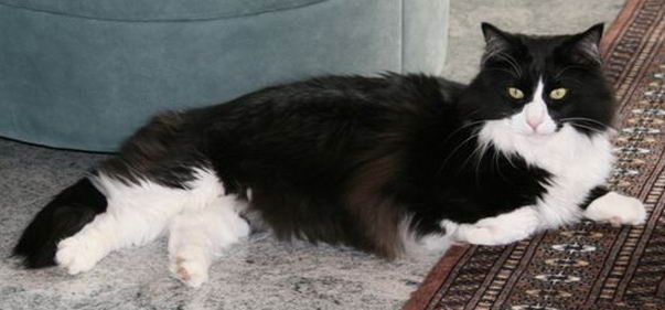 copyright: Familie Marty