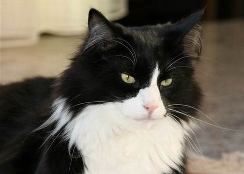 copyright: Familie Marty