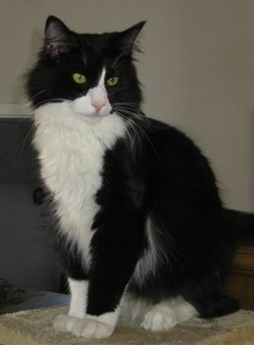 copyright: Familie Marty