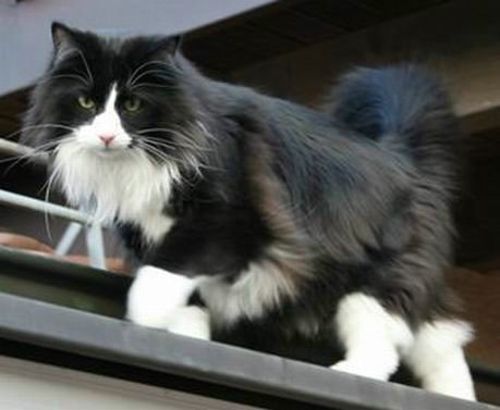 copyright: Familie Marty