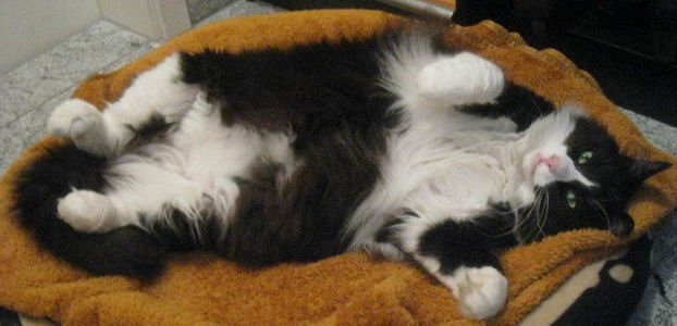 copyright: Familie Marty