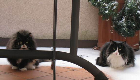 copyright: Familie Marty