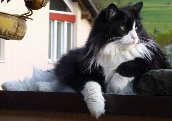 copyright: Familie Marty