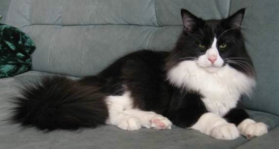 copyright: Familie Marty