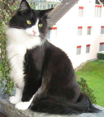 copyright: Familie Marty