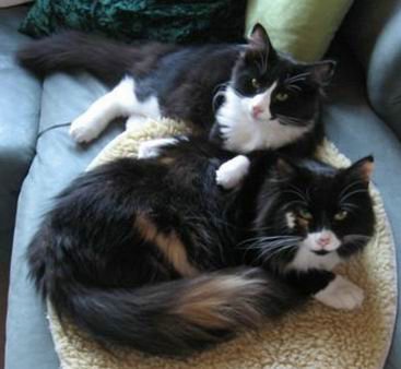 copyright: Familie Marty