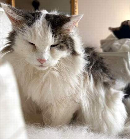 copyright: Silvia Reiser